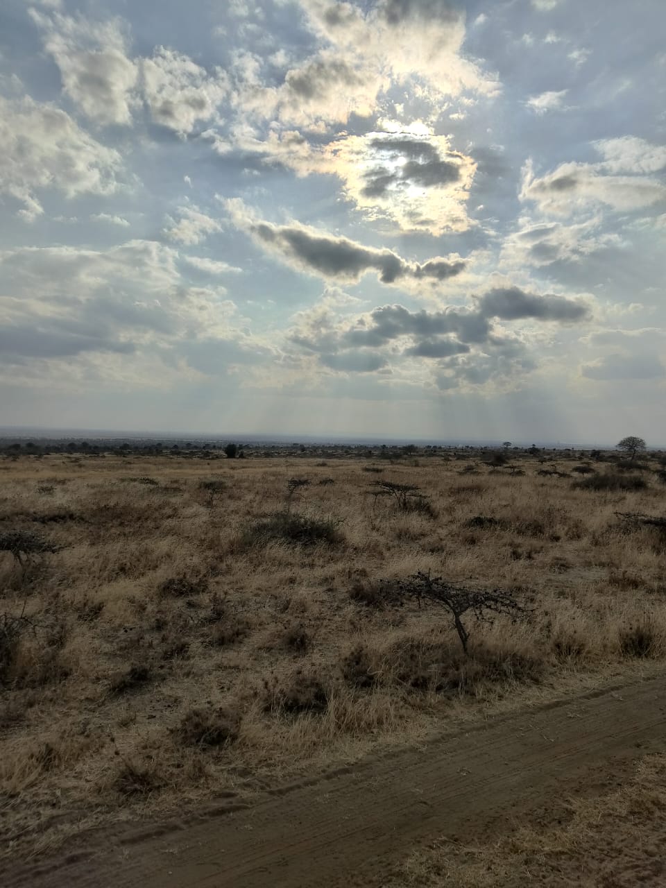 4-Acre-Land-Near-Konza-For-Sale
