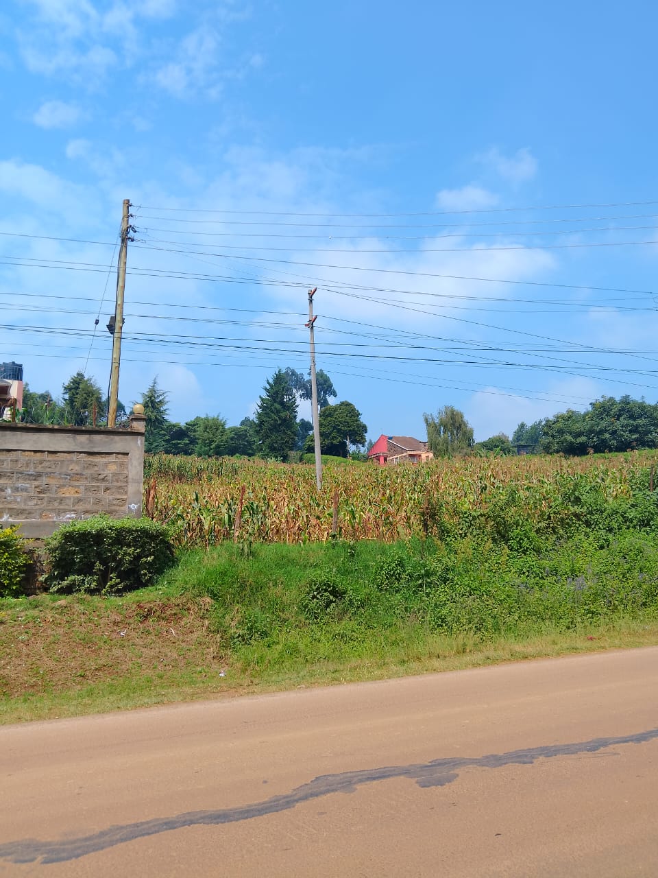 Half-acre-land-for-sale-near-Sigona-Golf