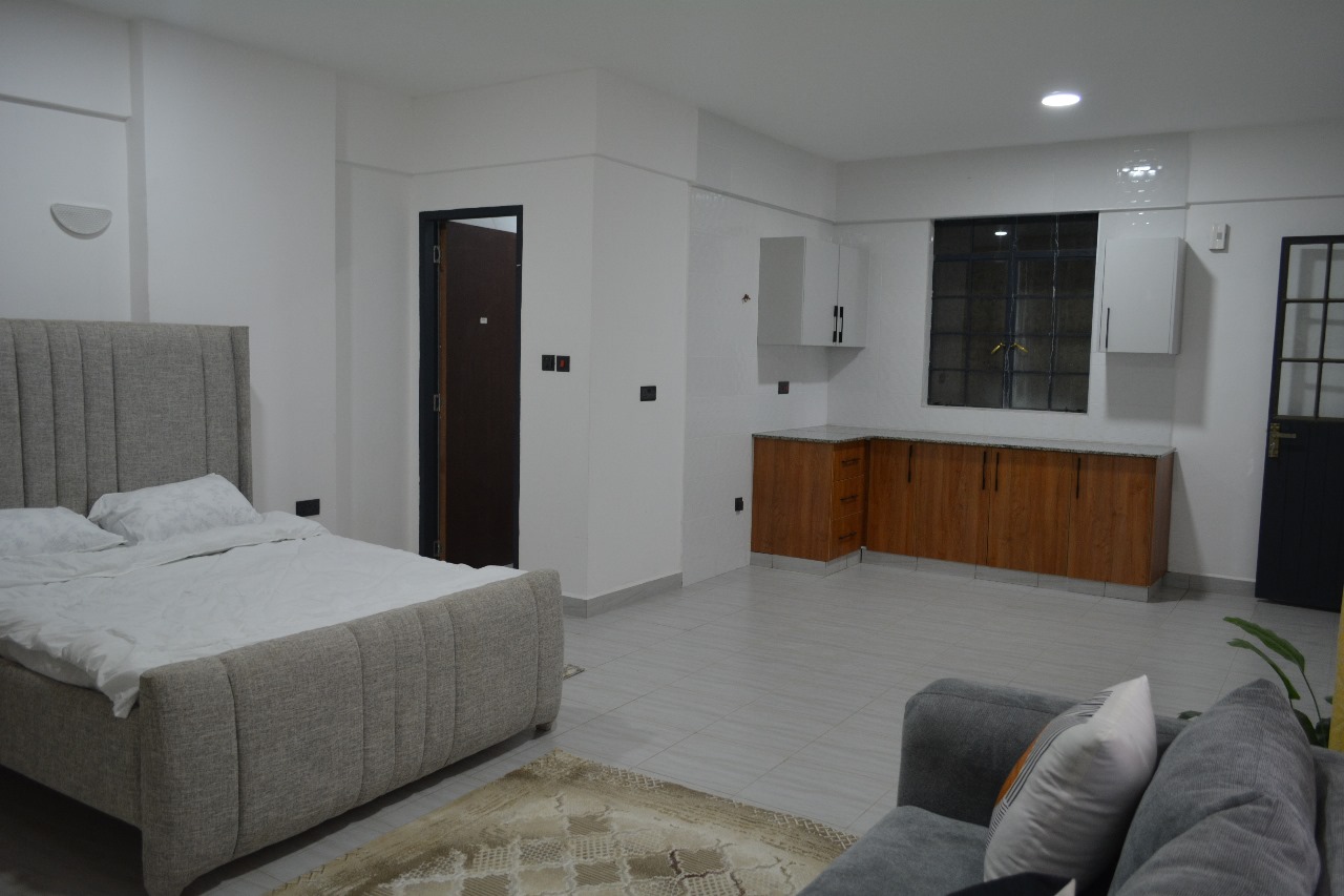 Spacious-Studio-Apartment-for-sale-in-Ruaka